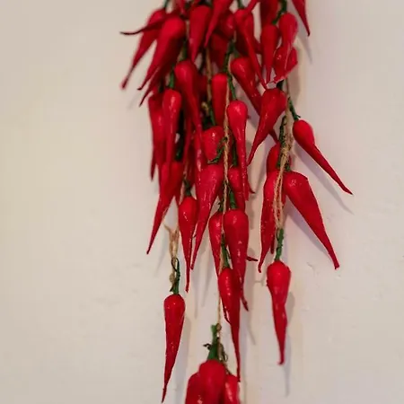 Costamare מונטרוסו אל מארה